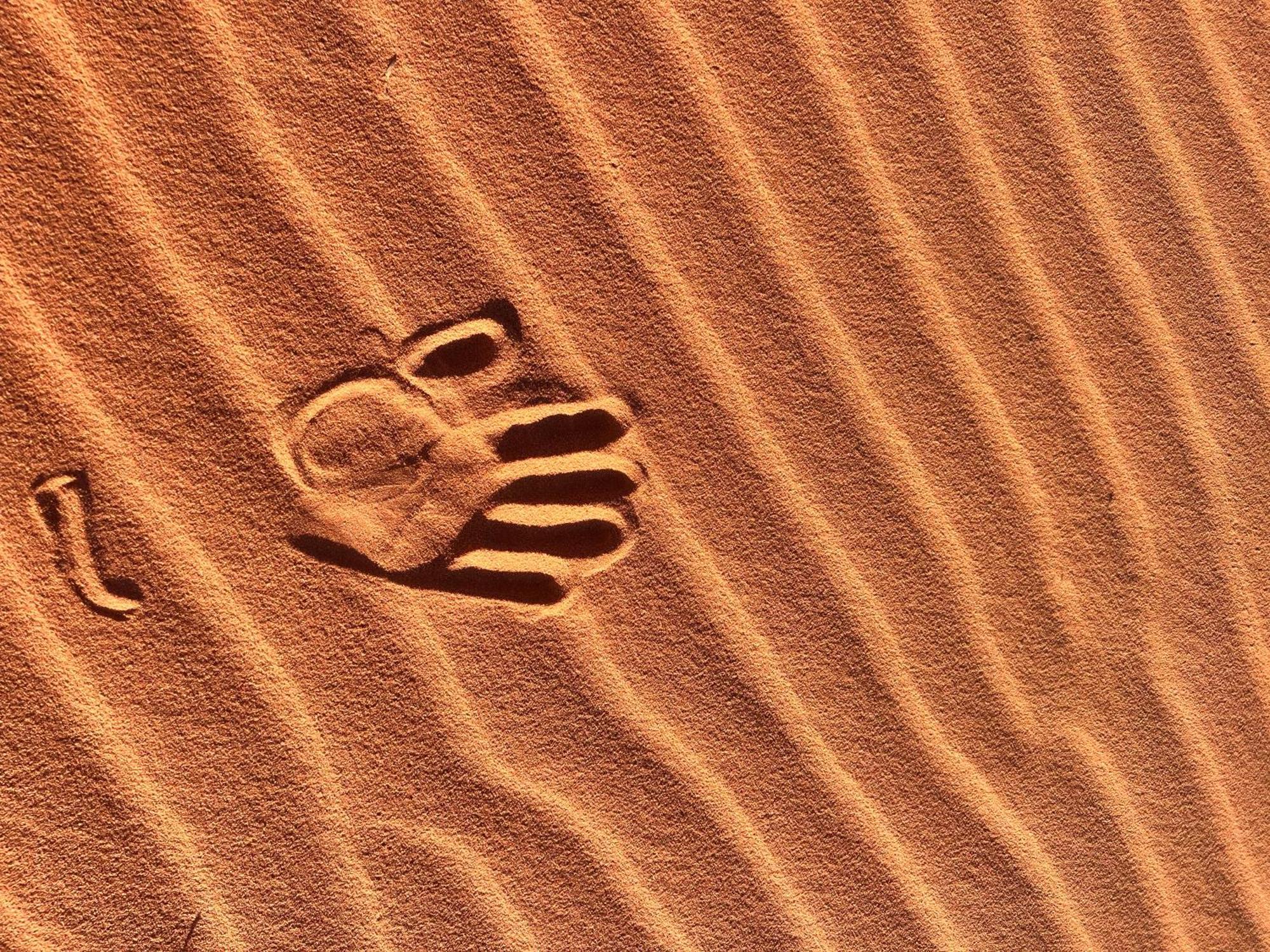 Wadi Rum Trip Экстерьер фото